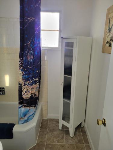 a bathroom with a shower curtain and a toilet at The Link Vintage Motel #1 2bd1ba in Lovelock