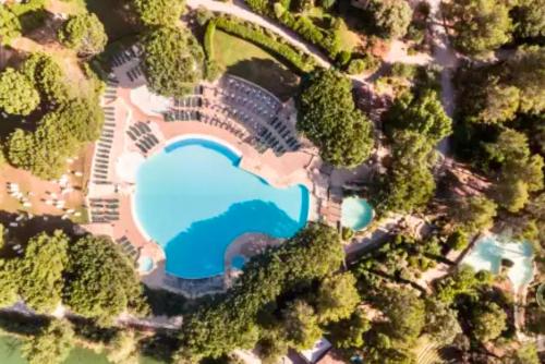 une vue aérienne sur un lac dans une forêt dans l'établissement appartement pont royal, à Mallemort