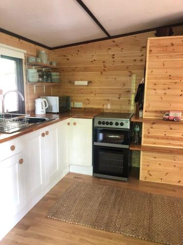 - une cuisine avec une cuisinière et un mur en bois dans l'établissement Devoke Water, à Elterwater