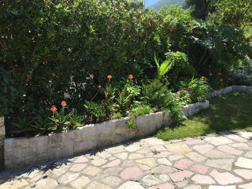 Un jardín fuera de Apartments Ivanović