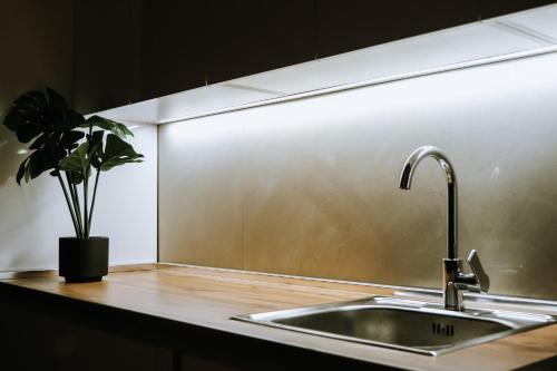 a kitchen counter with a sink and a potted plant at Lux Nest Apartment Prishtina in Pristina
