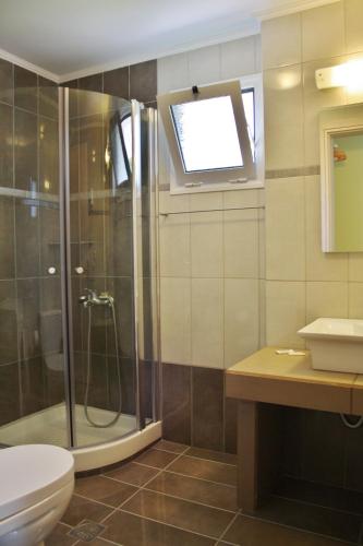 a bathroom with a shower and a toilet and a window at Villa Vicky in Petra