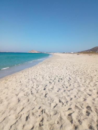 Theoni Apartments Kastraki Naxos