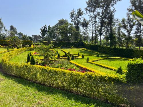 Gallery image of The GreenTulip Gardens in Nkubu