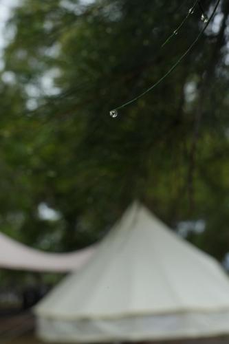 a small bird is flying over a white tent at Curve56 in Tuaran