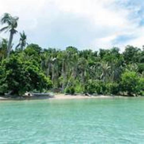 a beach with a bunch of trees in the water at Basio's Place Tourist Inn by RedDoorz in San Vicente