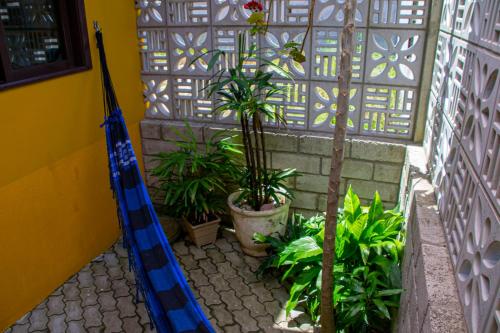 a blue rake leaning against a wall with plants at A Casa Amarela - conforto e tranquilidade próximo ao mar in Balneário Gaivotas
