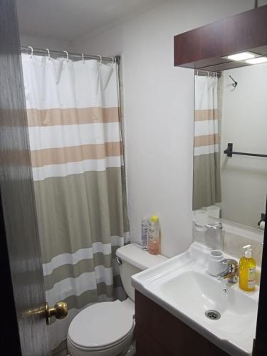 a bathroom with a toilet and a sink at Casa Centrica Pucón in Pucón