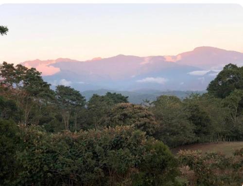 a view of a forest with mountains in the distance at Modern Loft inside a beautiful farm in General Viejo