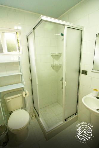 a bathroom with a shower with a toilet and a sink at Cabañas Leufu in Futaleufu