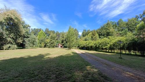 a large grass field with a dirt road at Casa encantadora con servicio de transporte al Aeropuerto in Osorno