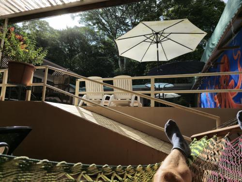 a dog laying on a hammock with an umbrella at Cool Waters Jungle Villas in Uvita