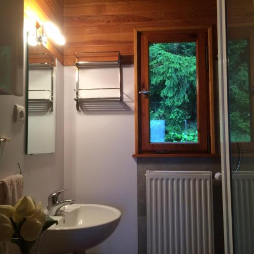 une salle de bain avec un lavabo et une fenêtre dans l'établissement Chalet Braunkopf ALSACE, à Muhlbach-sur-Munster
