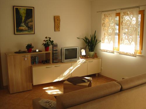 Televisyen dan/atau pusat hiburan di Apartment House Cviter