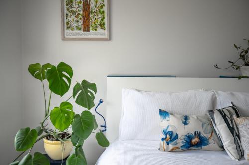 En eller flere senge i et værelse på 24 Surfers Ave