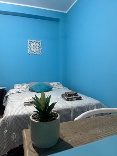 Fotografie z fotogalerie ubytování Allyashana chichu v destinaci Barranca