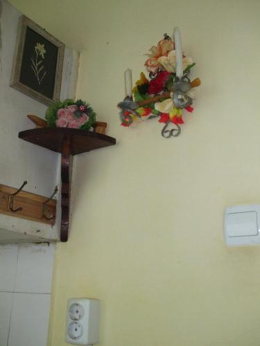 un muro con dei fiori su un muro di Kamigs Rooms a Sofia