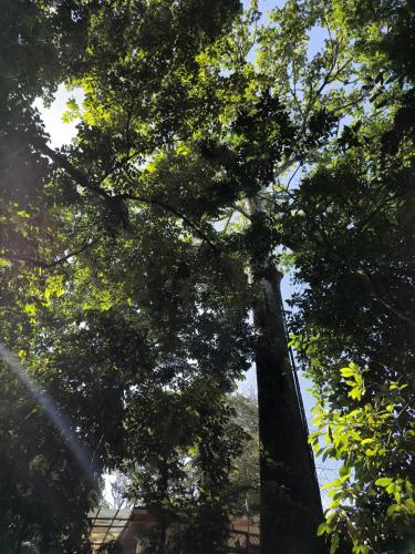 Un paisaje natural cerca de la casa de huéspedes