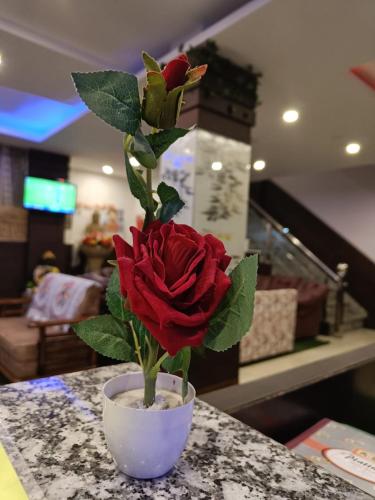 a red rose in a vase on a table at Hotel Cloud Height in Dharmsala