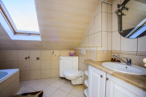 La salle de bains est pourvue de toilettes, d'un lavabo et d'un miroir. dans l'établissement Apartament u Zosi Krościenko, à Krościenko nad Dunajcem