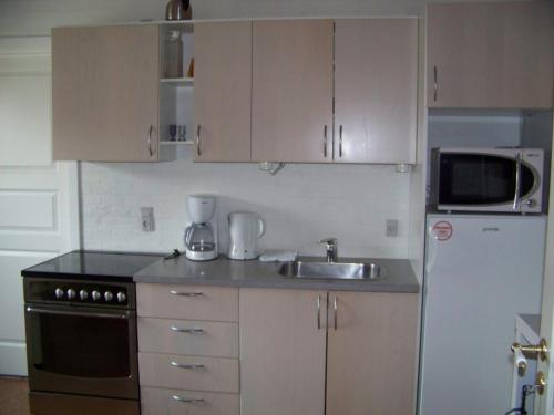 Solvang Apartments في Ansager: مطبخ صغير مع مغسلة وثلاجة