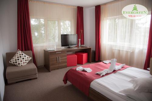 a bedroom with a bed and a tv and a chair at Vila Evergreen in Predeal