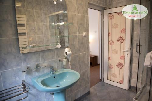 a bathroom with a blue sink and a shower at Vila Evergreen in Predeal