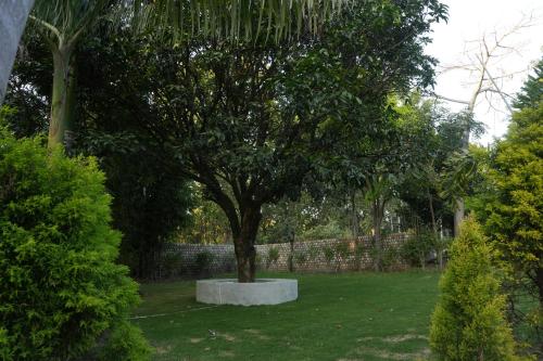 Zahrada ubytování 3Acres Resorts Dehradun