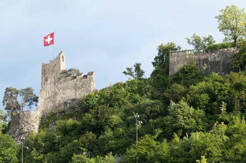 a castle on a hill with a flag on it at Trafo Hotel Baden in Baden