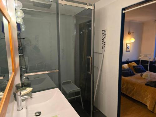 une salle de bain avec un lavabo et une douche en verre dans l'établissement Le Caprice des Halles, à Villaines-la-Juhel