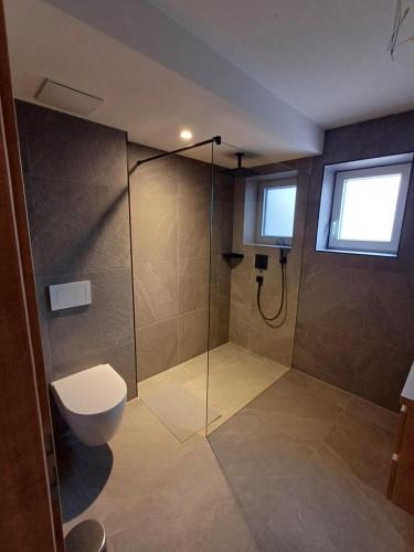 a bathroom with a shower with a toilet and a sink at Apartment Alpenland in Scheffau am Wilden Kaiser