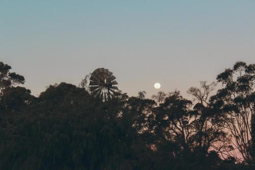 a windmill and moon in the sky with trees at Cottage 2 - The Row in Forest Grove