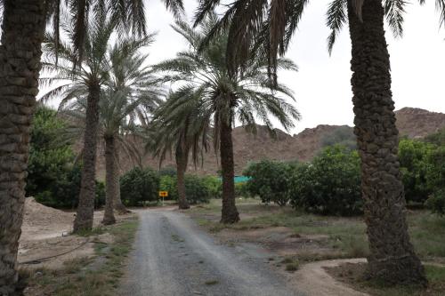 Φυσικό τοπίο κοντά σε αυτή η βίλα