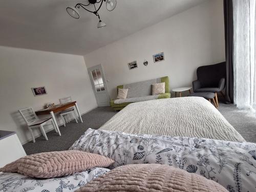 Un dormitorio con una cama grande y un sofá. en Apartmán Donská, en Liberec