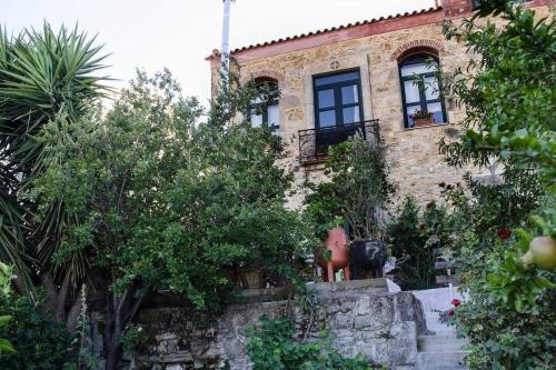 Сад в Villa Elborgini, where Cretan Land Meets Wine and Culinary Art!