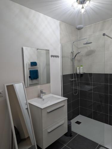une salle de bain avec un lavabo et une douche dans l'établissement Une Villa En Montagne, à Marnaz