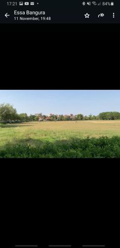 a screenshot of a picture of a field of grass at Paradise Estate in Gambia in Old Yundum