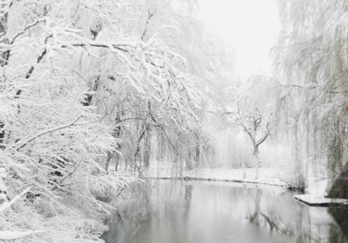a river covered in snow with icy trees and water at Landhaus am Schloss in Schnabelwaid