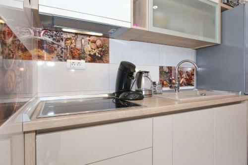 a kitchen with a sink and a counter top at Apartment ErMa in Zaton