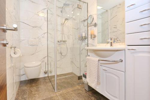 a bathroom with a shower and a toilet and a sink at Apartment ErMa in Zaton
