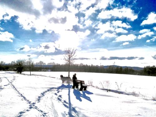a person and a dog in a snow covered field at Landhaus am Schloss in Schnabelwaid