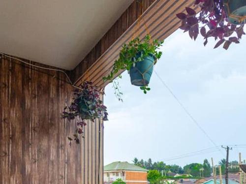 a hanging planter with plants hanging from a building at Jelani Space's Luzira Apartment in Kampala