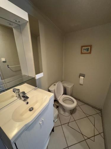 une salle de bain avec des toilettes blanches et un lavabo dans l'établissement La petite condemine, à Beaumont-sur-Grosne
