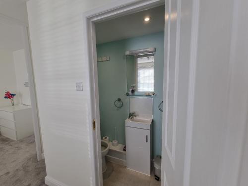 ウェイマスにあるHorizon Sea View Suiteのトイレと洗面台付きのバスルーム