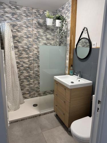 a bathroom with a shower and a sink and a toilet at Séjournez dans un Charmant Appartement de 40 m in Joué-Étiau