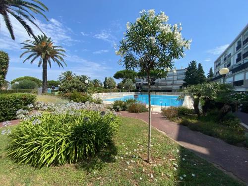 un jardin avec une piscine et un arbre dans l'établissement Appartement 60m2 piscine au coeur de Saint-Tropez, à Saint-Tropez