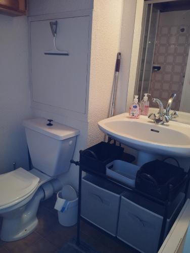 a bathroom with a toilet and a sink at STUDIO Romélie in Selonnet
