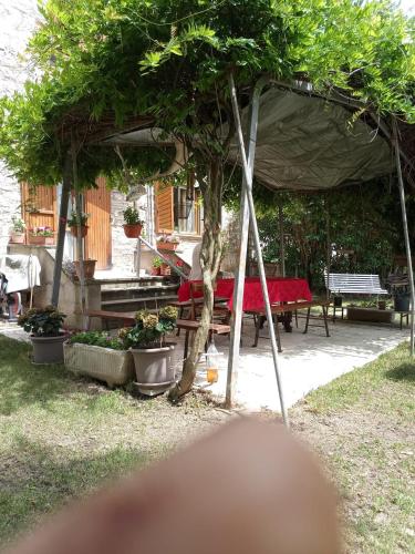 a patio with a table and a tent with plants at Lavecchiaconcia -de oude leerlooilerij Casa Vacanze Zommer Vakantiehuis in Cagli