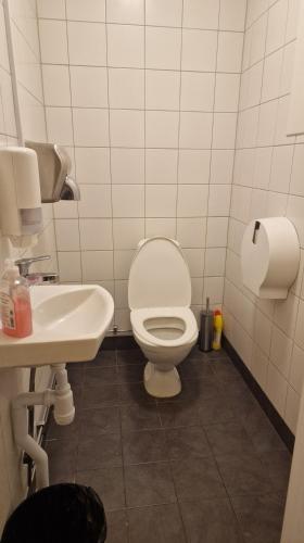 a bathroom with a toilet and a sink at Charlottsborgs Camping och Vandrarhem in Kristianstad