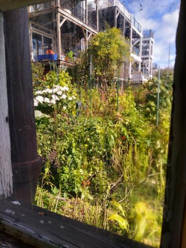 a view of a garden from a window at BlueJay Room in Boston